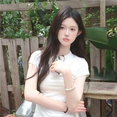 没人瞭波斯猫