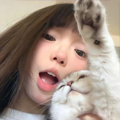 天堂鸟