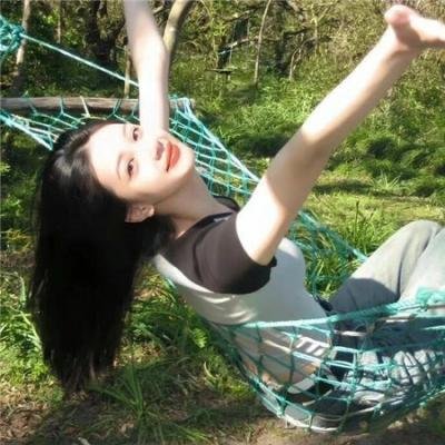 一条狗的回家路